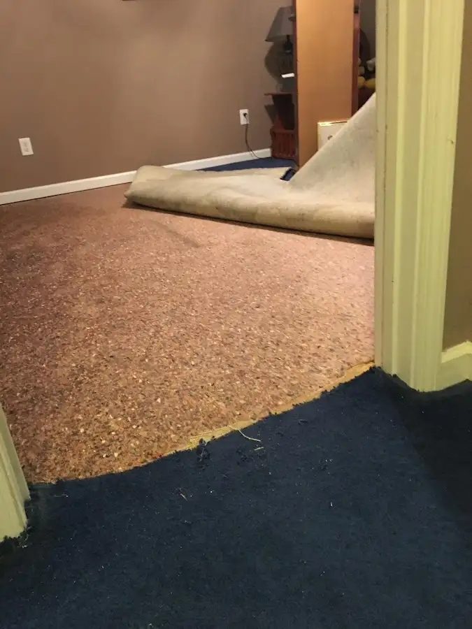 Carpet pad removal revealing water damage during Drying & Dehumidification in East Cleveland